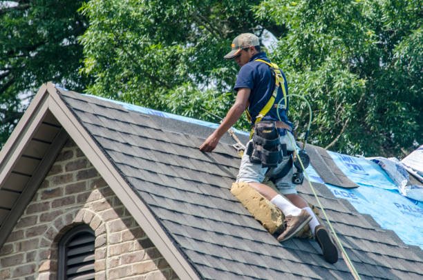 Professional Roof Work